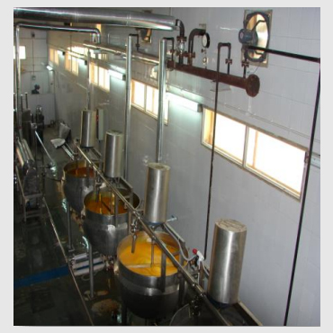 mango-pulping-line