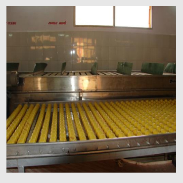 mango-pulping-line