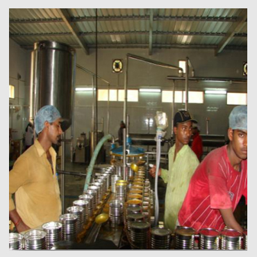 mango-pulping-line